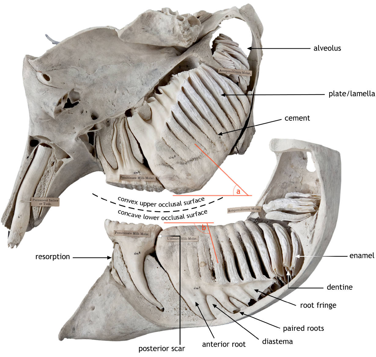 Screen Shot 2021-07-01 at 12.27.40